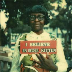 Spider Kitten : Making Paradise Possible